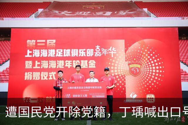 遭国民党开除党籍，丁瑀喊出口号“蓝绿合”，郑丽文杀鸡儆猴
